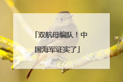 双航母编队！中国海军证实了
